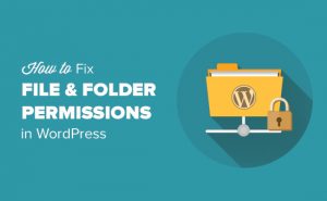 What is the perfect file and folder permission for WordPress